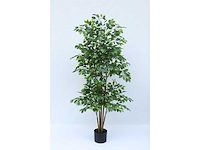 Real touch ficus kunstplant (2x) (210cm hoog) - afbeelding 7 van  14