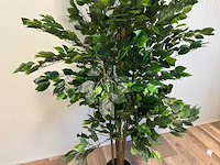 Real touch ficus kunstplant (2x) (210cm hoog) - afbeelding 10 van  14