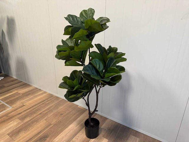 Real touch fiddleleaf tree kunstplant (2x) (155cm hoog) - afbeelding 8 van  13