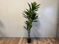 Real touch green dracaena kunstplant (200cm hoog) - afbeelding 7 van  12