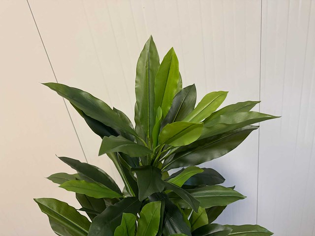 Real touch green dracaena kunstplant (2x) (200cm hoog) - afbeelding 8 van  12