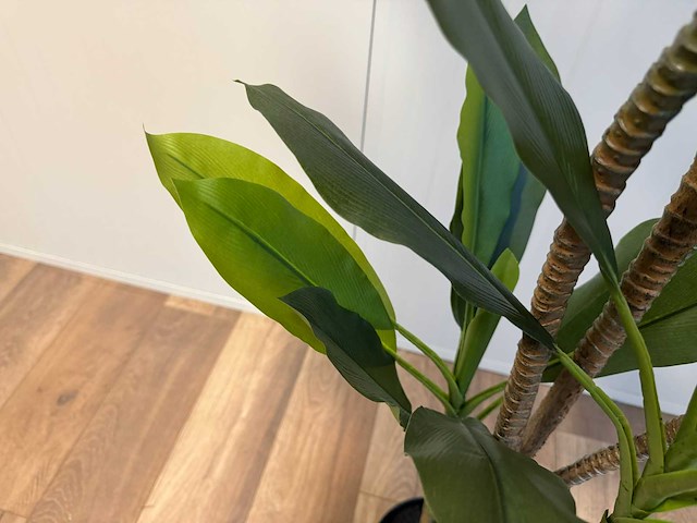 Real touch green dracaena kunstplant (2x) (200cm hoog) - afbeelding 12 van  12