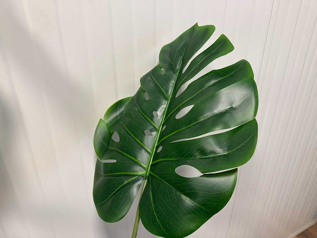 Real touch monstera kunstplant (2x) (160cm hoog) - afbeelding 14 van  14