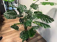 Real touch monstera kunstplant (2x) (215cm hoog) - afbeelding 13 van  13