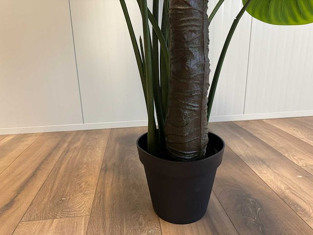 Real touch philodendron kunstplant (2x) (210cm hoog) - afbeelding 3 van  12