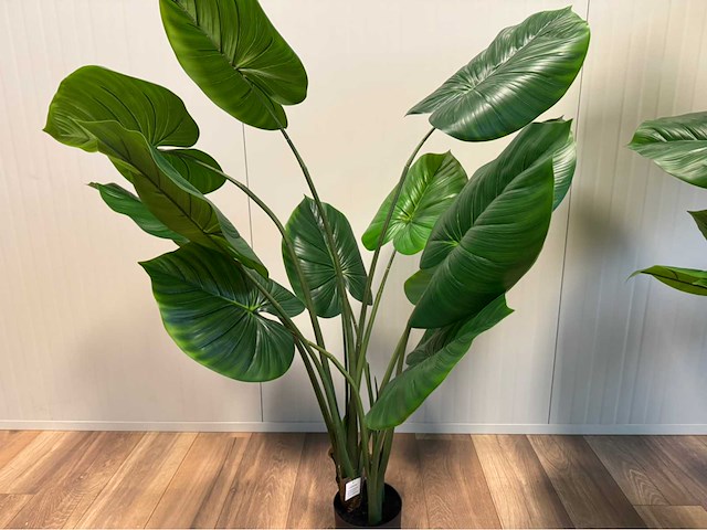 Real touch philodendron kunstplant (2x) - afbeelding 8 van  11