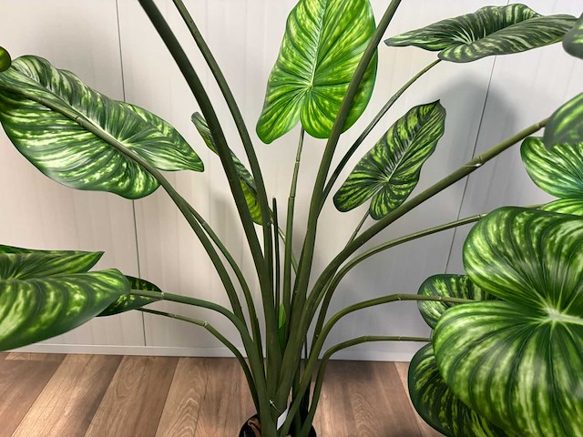 Real touch philodendron white green kunstplant (165cm hoog) - afbeelding 8 van  12