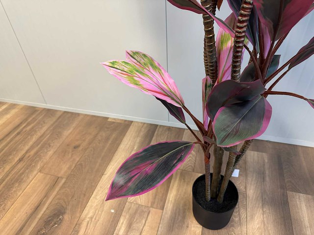 Real touch racaena green red kunstplant (200cm hoog) - afbeelding 3 van  14