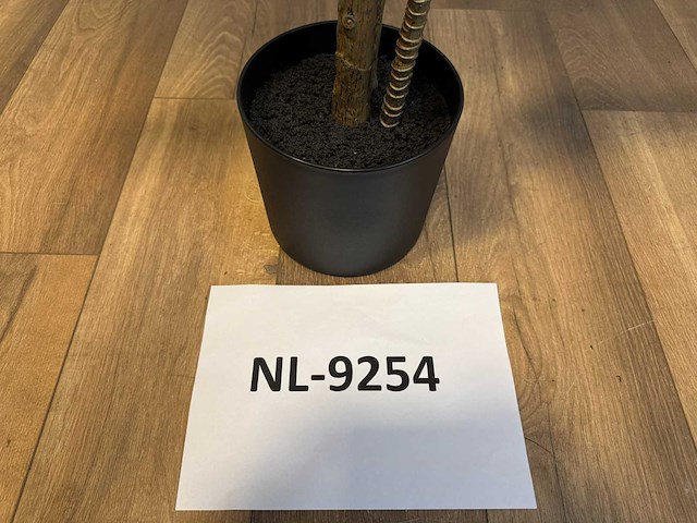 Real touch racaena green red kunstplant (200cm hoog) - afbeelding 6 van  14