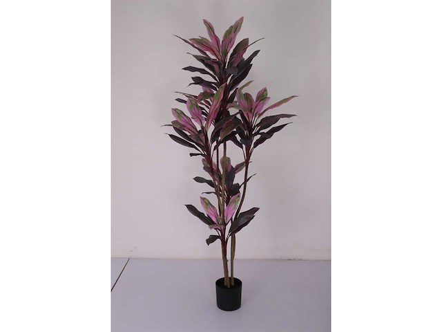 Real touch racaena green red kunstplant (2x) (200cm hoog) - afbeelding 7 van  14