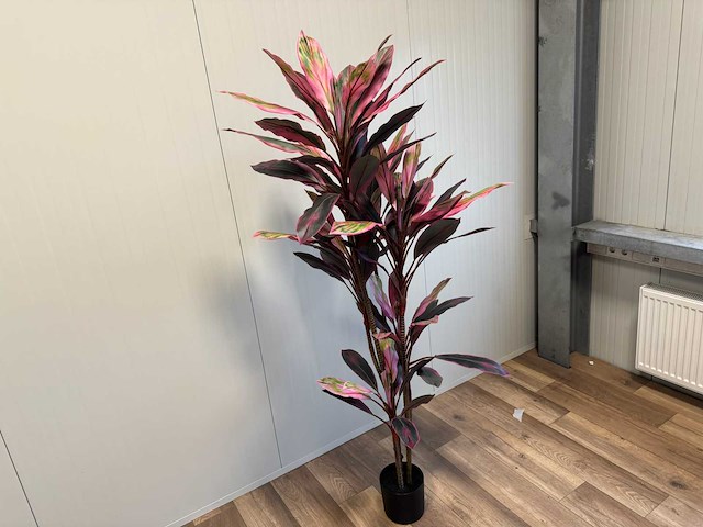 Real touch racaena green red kunstplant (2x) (200cm hoog) - afbeelding 8 van  14