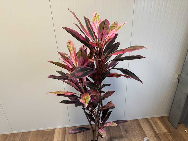 Real touch racaena green red kunstplant (2x) (200cm hoog) - afbeelding 9 van  14