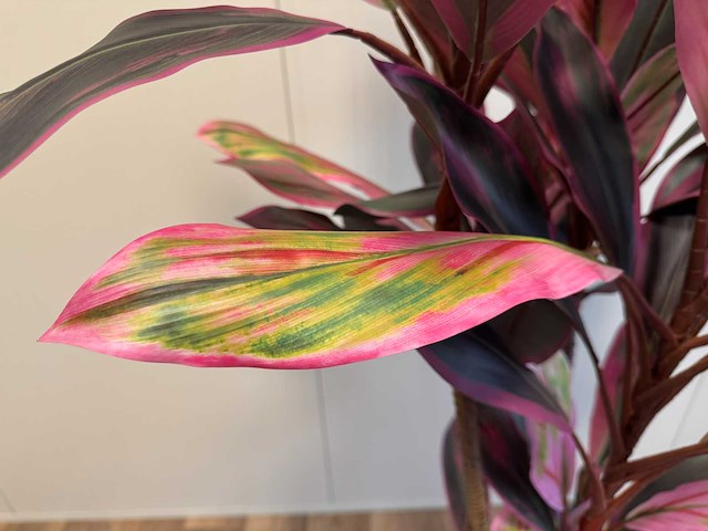 Real touch racaena green red kunstplant (2x) (200cm hoog) - afbeelding 11 van  14