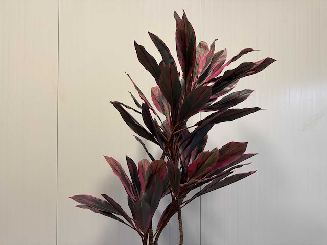 Real touch red draceana kunstplant (185cm hoog) - afbeelding 11 van  15