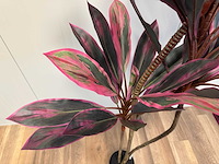 Real touch red draceana kunstplant (2x) (185cm hoog) - afbeelding 2 van  15