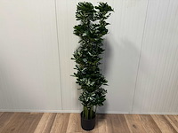 Real touch schefflera tree kunstplant (2x) (140cm hoog) - afbeelding 1 van  13