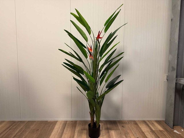 Real touch strelitzia kunstplant (210cm hoog) - afbeelding 1 van  17