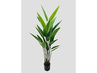 Real touch strelitzia kunstplant (2x) (175cm hoog) - afbeelding 7 van  14