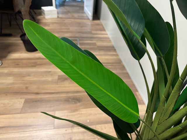 Real touch strelitzia kunstplant (2x) (210cm hoog) - afbeelding 3 van  17