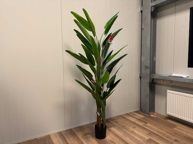 Real touch strelitzia kunstplant (2x) (210cm hoog) - afbeelding 12 van  17