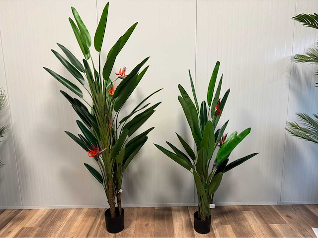 Real touch strelitzia kunstplant (2x) - afbeelding 1 van  3