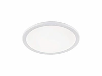 Reality leuchten camillus r62922401 led plafondlamp acryl wit - afbeelding 1 van  3