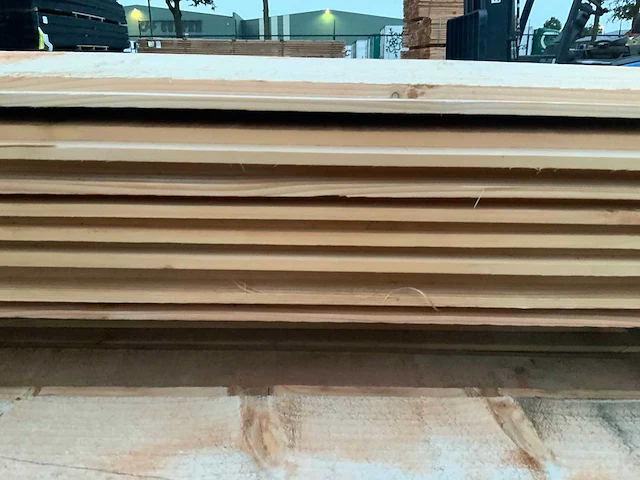 Red class tuinplank ca 3000x180mm (150x) - afbeelding 6 van  9