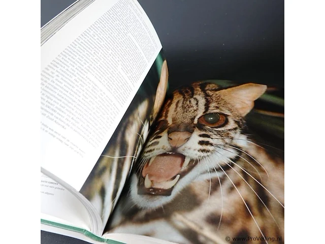 Red de dieren - afbeelding 4 van  5
