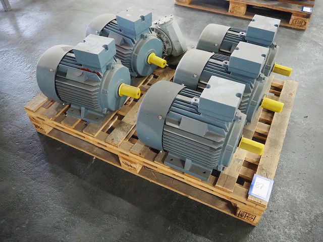 Regal beloid - afbeelding 1 van  5