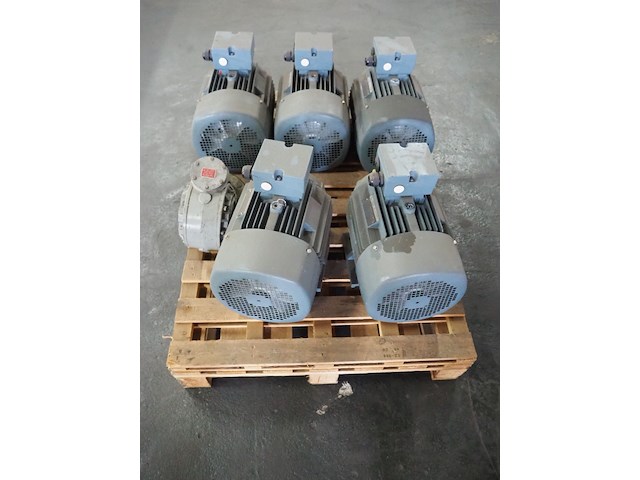 Regal beloid - afbeelding 3 van  5