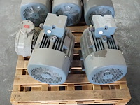 Regal beloid - afbeelding 3 van  5