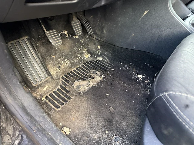 Renault clio iv phase ii,2016 - afbeelding 28 van  30