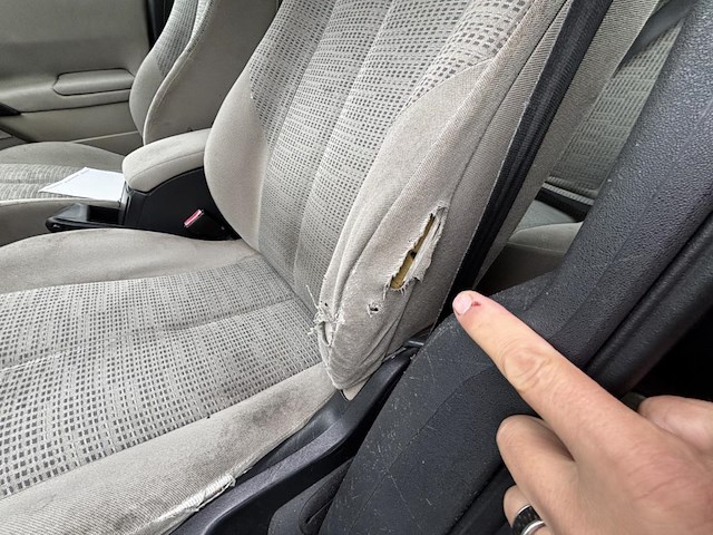 Renault megane berline 2 phase ii 1.5 dci authentique reference,2006 - afbeelding 16 van  38