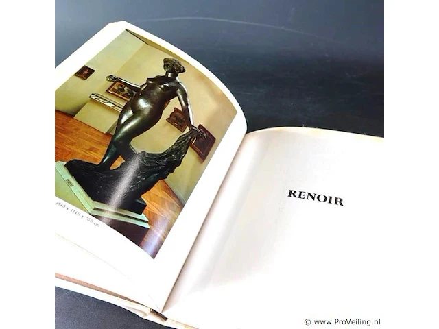Renoir - afbeelding 5 van  5