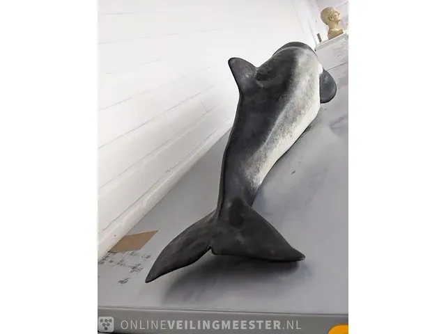 Replica art bruin vis - afbeelding 5 van  6