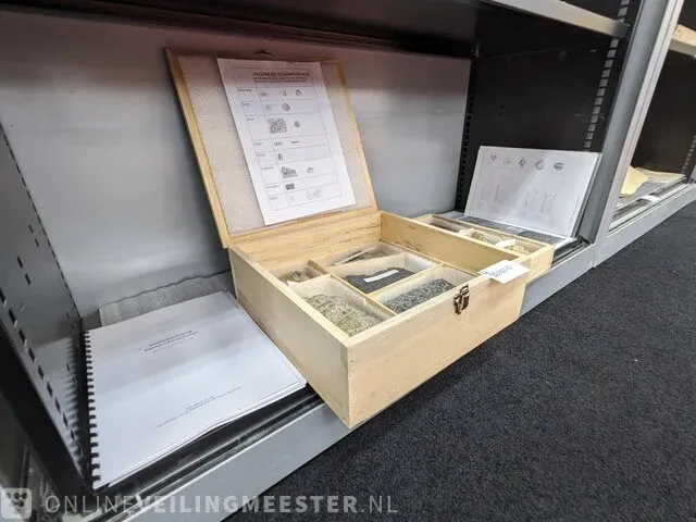 Replica art palaeontologie - afbeelding 1 van  42