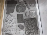 Replica art palaeontologie - afbeelding 35 van  42