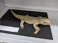 Replica art sphenodon puncatus - afbeelding 2 van  5