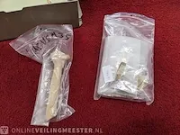 Replica evolutie van de mens skelet lucy 3.5 miljoen jaar - afbeelding 2 van  13