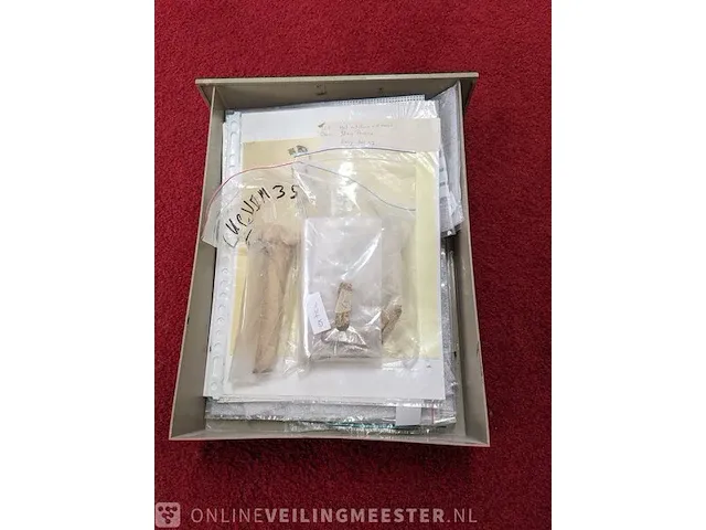 Replica evolutie van de mens skelet lucy 3.5 miljoen jaar - afbeelding 13 van  13