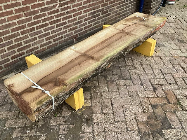 Reuzen sequoia - 2019 gezaagd 220 x 540 x 2420 mm - schaaldeel (4x) - afbeelding 3 van  6