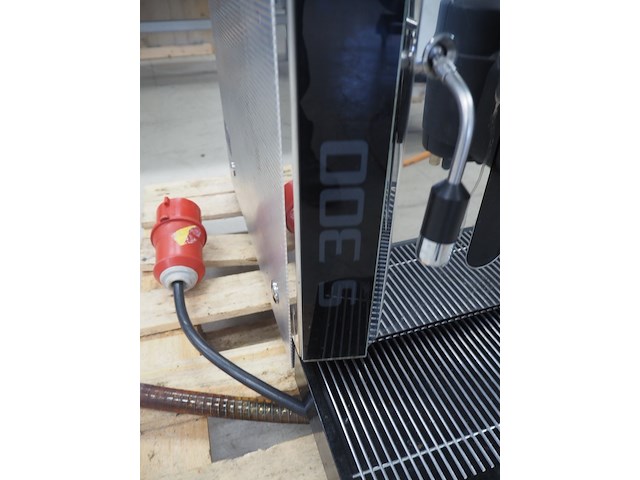 Rex royal - afbeelding 2 van  10