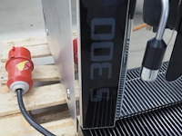 Rex royal - afbeelding 2 van  10