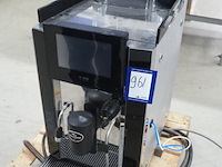 Rex royal - afbeelding 1 van  10