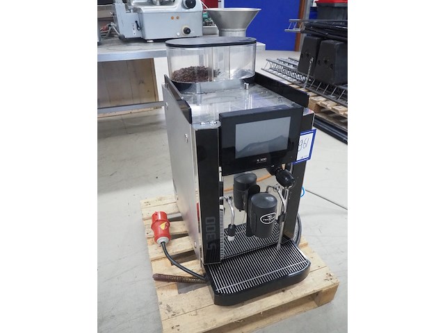 Rex royal - afbeelding 3 van  10