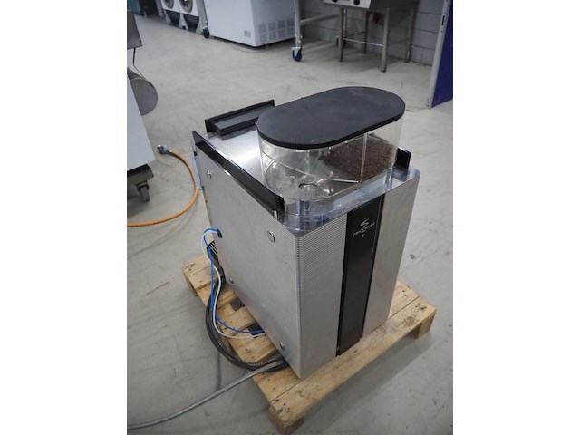 Rex royal - afbeelding 5 van  10