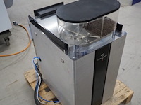 Rex royal - afbeelding 5 van  10