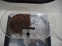 Rex royal - afbeelding 7 van  10