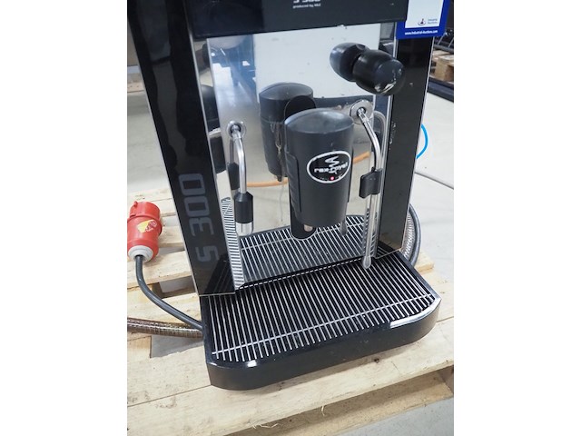 Rex royal - afbeelding 8 van  10