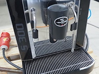 Rex royal - afbeelding 8 van  10